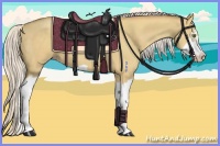 Horse Color:Silver Classic Champagne Dun Splash Frame 