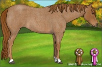Horse Color:Red Roan 