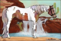 Horse Color:Nacre Silver Bay Tobiano