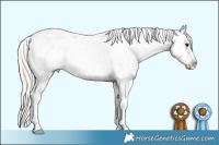 Horse Color:Silver Black Sabino 