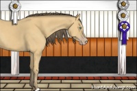 Horse Color:Amber Cream Champagne
