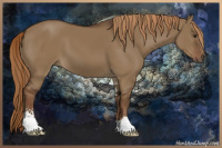 Horse Color:Liver Red Dun Sabino 