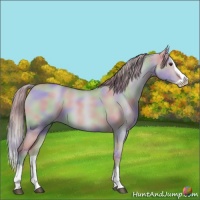 Horse Color:Nacre Watercolor Red Dun Splash 