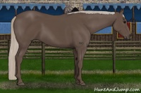 Horse Color:Silver Black 