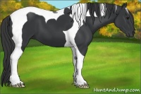 Horse Color:Black Tobiano