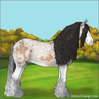 Horse Color:Brown Ice Roan Dun Splash 