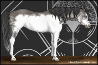 Horse Color:Grullo Sabino Splash Frame