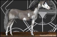 Horse Color:Grullo Splash 