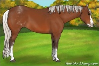 Horse Color:White Spotted Silver Bay Splash 