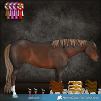 Horse Color:Liver Chestnut 