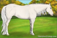 Horse Color:Silver Smoky Creme Roan Dun Rabicano 