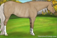 Horse Color:Silver Smoky Grullo Rabicano 