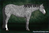 Horse Color:Black Ice 