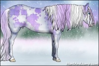 Horse Color:Watercolor Plaid  White Spotted Chocolate Palomino Dun Splash Rabicano 