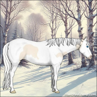 Horse Color:Silver Perlino Splash Tobiano 