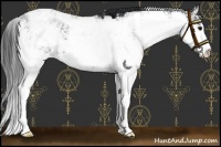 Horse Color:Black Sabino