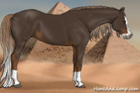 Horse Color:Gray Chocolate Palomino Splash