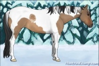 Horse Color:Bay Roan Dun Tobiano 
