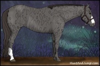 Horse Color:Smoky Black Ice 