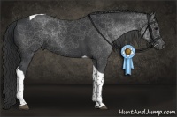 Horse Color:Black Tobiano 