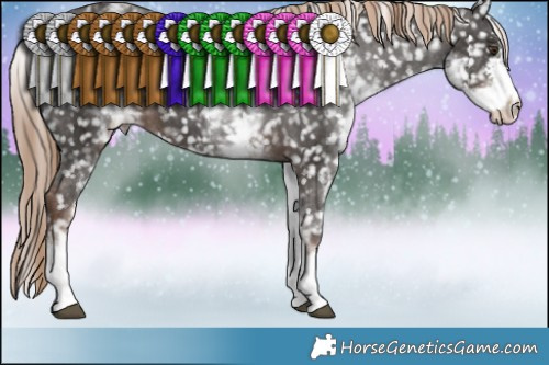 Horse Color:White Spotted Liver Chestnut Sabino Appaloosa