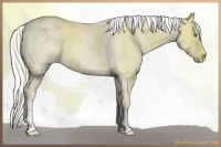 Horse Color:Silver Smoky Creme Roan 