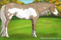 Horse Color:Silver Smoky Blue Roan Frame Rabicano 