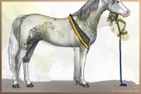 Horse Color:White Spotted Silver Black Chinchilla Ice Splash Tobiano 