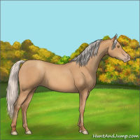 Horse Color:Silver Amber Champagne Frame 