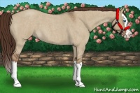 Horse Color:Liver Red Dun Roan Splash 
