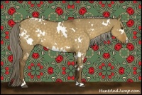 Horse Color:White Spotted Chocolate Palomino Dun 