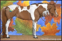 Horse Color:Chestnut Tobiano Appaloosa 