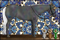 Horse Color:Midnight Chestnut Chinchilla 