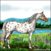 Horse Color:White Spotted Silver Brown Dun Near Leopard