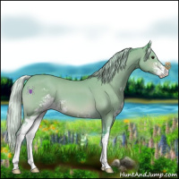Horse Color:Watercolor Silver Bay Sabino 