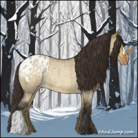 Horse Color:Buckskin Roan Dun Blanket Rabicano 
