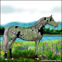 Horse Color:Watercolor White Spotted Silver Black Sabino