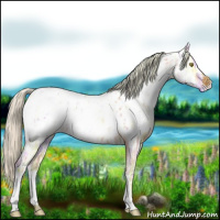 Horse Color:Watercolor Silver Sable Champagne Ice Near Leopard Rabicano