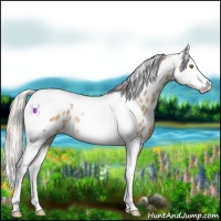Horse Color:Watercolor Silver Sable Champagne Splash Tobiano Near Leopard Rabicano 