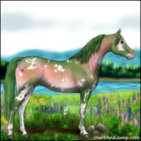 Horse Color:Watercolor White Spotted Blue Onyx 