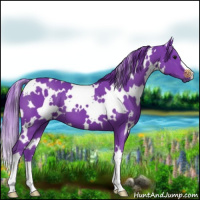 Horse Color:Watercolor White Spotted Smoky Black