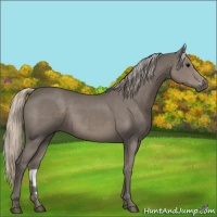 Horse Color:Silver Black 