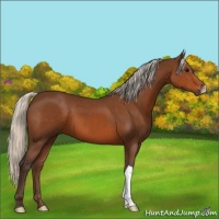 Horse Color:Silver Brown 