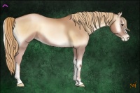 Horse Color:Red Onyx Pearl 