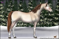 Horse Color:Brown Pearl Onyx