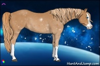 Horse Color:Chestnut Splash Rabicano 