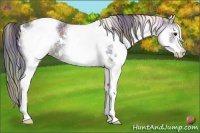 Horse Color:Nacre White Spotted Black