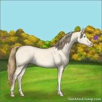Horse Color:Perlino Dun