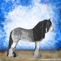 Horse Color:White Spotted Blue Roan