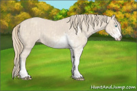 Horse Color:Perlino Sabino  and Smoky Creme Sabino 